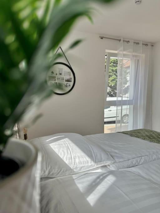 Amao-Pearl I Comfort Suite I 94Qm I Kingsize-Bett I Exklusiv Mit Balkon & Tiefgarage I Aufzug Offenburg Kültér fotó